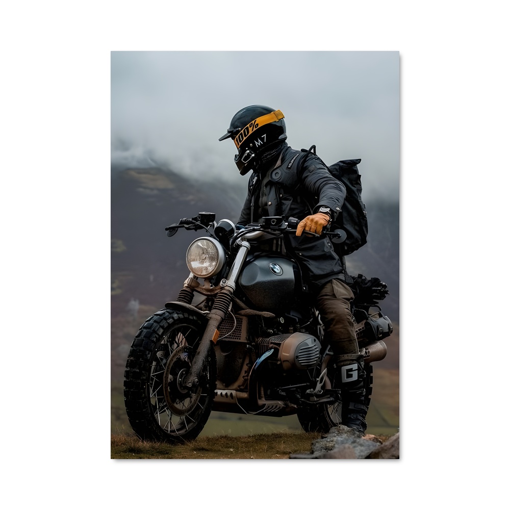 Poster magnifique R ninet